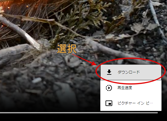 動画メニューのダウンロード選択